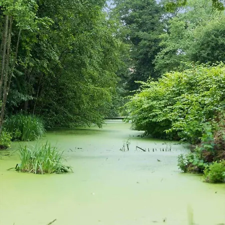 1582-dronningmolle-hulerodvej-33 * Dronningmølle