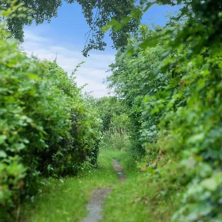 1582-dronningmolle-hulerodvej-33