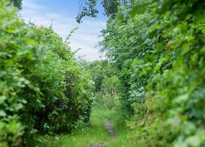 1582-dronningmolle-hulerodvej-33